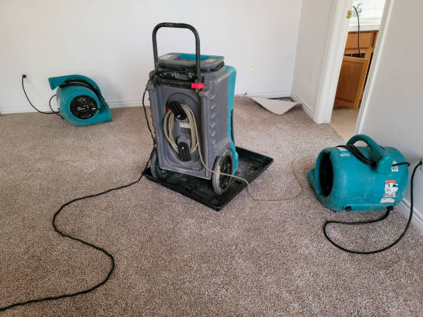 Best Water damage restoration near me  in Yellville, AR