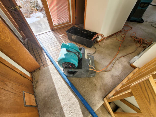 Best Professional water damage repair  in Yellville, AR