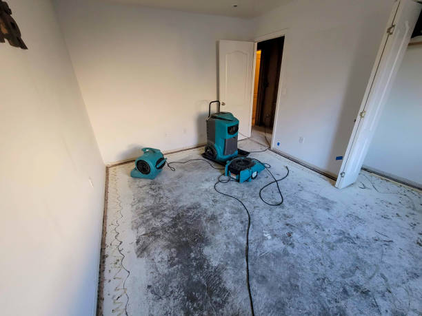  Yellville, AR Water damage restoration Pros