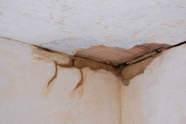 Best 24-hour water damage restoration  in Yellville, AR