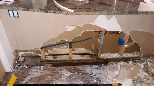 Best Water damage contractors near me  in Yellville, AR