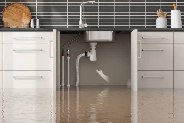 Yellville, AR Water damage restoration Company
