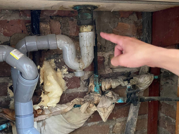 Best Water damage restoration services  in Yellville, AR